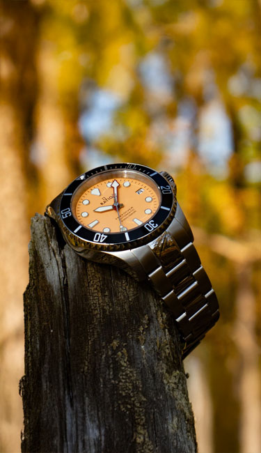 Ratio FreeDiver Sapphire Stainless Steel Salmon Dial Automatic